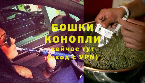 дживик Аркадак