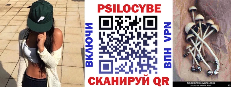 hydra   Микунь  Псилоцибиновые грибы Psilocybine cubensis 
